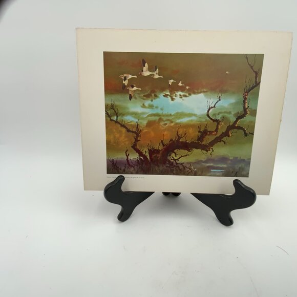 Vintage Print "Snow Geese" From a Painting by John P. Cowan 8" x 10" - Picture 4 of 7